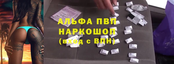 прущие крисы Белокуриха
