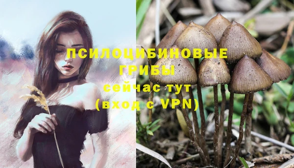 дистиллят марихуана Беломорск