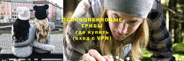 прущие крисы Белокуриха