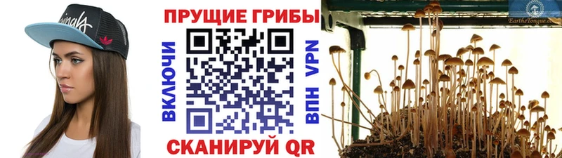 Галлюциногенные грибы прущие грибы  ссылка на мегу рабочий сайт  Полесск 